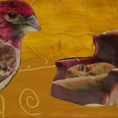 MONMON - Pretty Little Thing