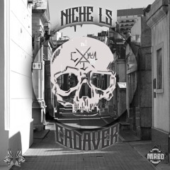 Alpha- NICHE-LS(Prod. Chill House Music- Bizar En El Beat)