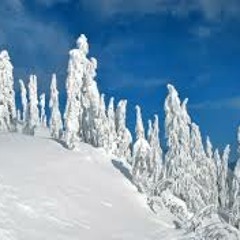 ICE TDittySmackaHoe ft. Dick ChaneyXPsmitty