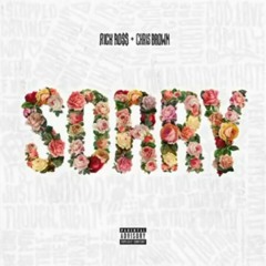 Sorry by chris brown  ft.rick ross