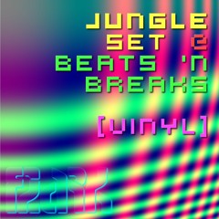 Jungle Set @ Beats 'n Breaks [VINYL]