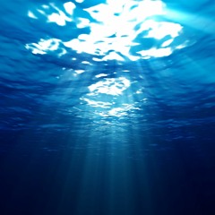Dive Deeper