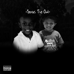 Sensei The Owl - Ellisons Remix