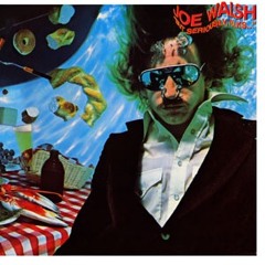 Joe Walsh - Life Been Good (Remix)