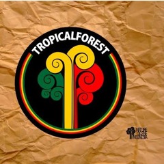 04. TROPICAL FOREST - CIPAPO