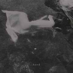 H ø R D - Let Them Burn (Black Bug Remix)