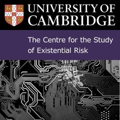 Human - Level AI- Is It Looming Or Illusory?