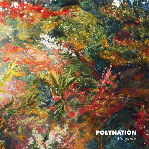 Polynation - Damp