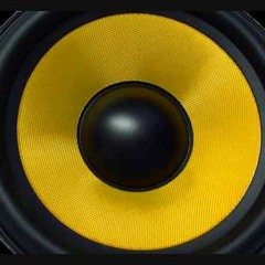 La Roux - In for the Kill  - Butcha'z Reverse Bass Edit FREE DOWNLOAD