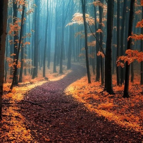 MWD ∞ 08/10/15 ∞ Beautiful Music Daily
