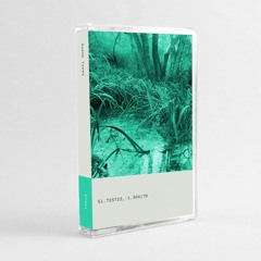 B5 Ikpathua  - !!2.355 (SWAMP TAPES)