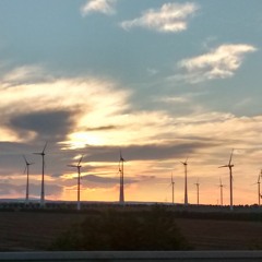 Karawane (live auf dem Südsee Open Air)