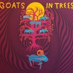 Goats in Trees by Foster The People (Jamming session with my little brother)