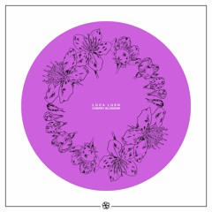VALENTINE feat. TRIBES