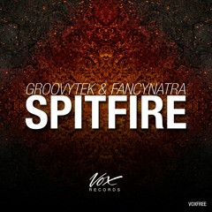 Groovytek & Fancynatra - Spitfire (Original Mix) [Free Release]