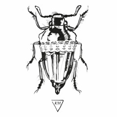 nuemp - Bug Of June (Night Talk Remix)[AYM]