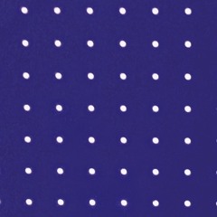 Minimal Mind