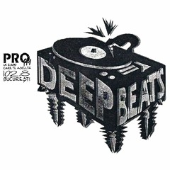 DEEP BEATS cu DJ Sleek @ PRO FM /// Part 1