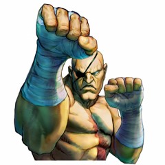 The Eyepatch Of The Tiger (Sagat remix)