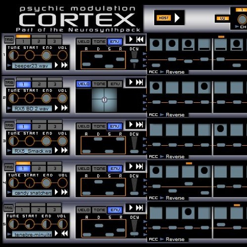Cortex Revisited
