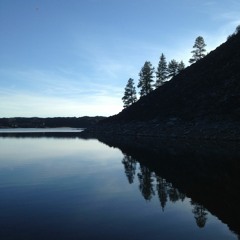 I Can Touch and Forget You