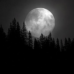 Atrejus - Quarter Moon - Set-