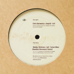 Malaky, Skeletone & Satl - Future Blues (Random Movement Remix) [Vinyl]