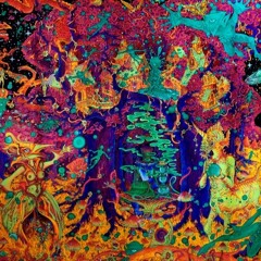 Pajarito anaranjadito