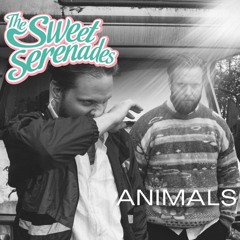 The Sweet Serenades - Fireworks