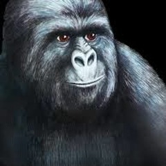 Obsidian Lies - New Single Preview -2015