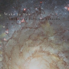 Becoming The Universe