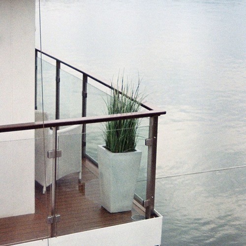 Easychord & Forest Management // LANDFORMS (extract)