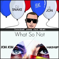 DJ Snake vs. What So Not - Touched Down for What (JON JON MASHUP) [DJ EDIT]