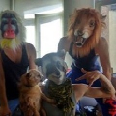 PITELIZED_IN_LOVE_WITH_THE_COCOJUICE_09.10.2015.MP3