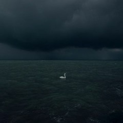 xxyyxx - about you remix「ft aszilations」