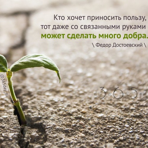 Цитата о пользе