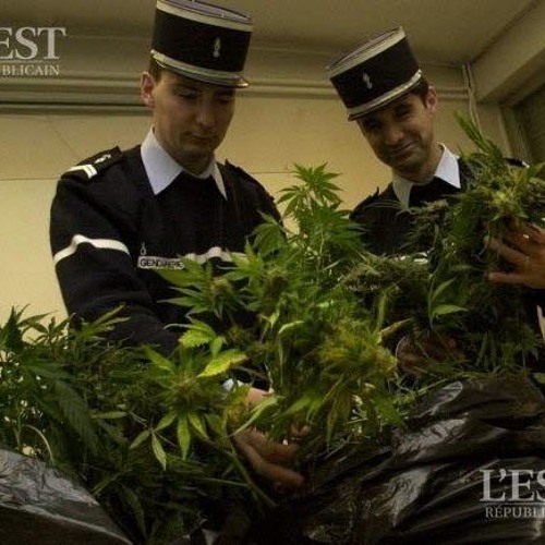 Fantom Ass - Quelle Affaire !!