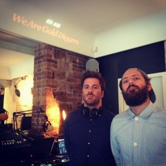 We Are Gold Diggers • DJ set • LeMellotron.com