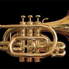 DJ Perrk - Trumpet Elementary
