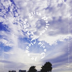 DAMON ELIZA PALERMO - TRACKS / MIXES