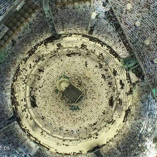 سوره الفجر والبلدوالضحى والشرح والتين للشيخ عبد الباسط مقام نهواند