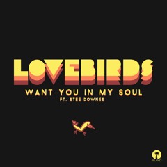 Lovebirds feat Stee Downes - Want You In My Soul (Après Remix)