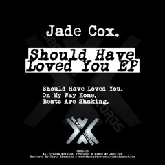 Should Have Loved You [Cross Section Records]