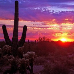 E Batt - Arizona Sunset