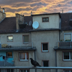 Hannelunder - Potential Lovers