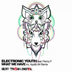 Electronic Youth - What We Have ft. Penny F [Premiere]