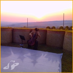 29th Step - "surreal crickets at sunrise and various other sounds, synths and voices"