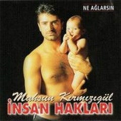 Ellerin Kadinisin