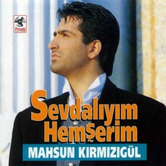 Hemşerim