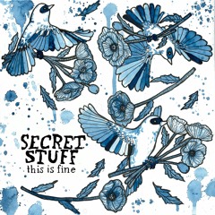Secret Stuff - "I Knew You So Briefly, You Dead Soap Dog"